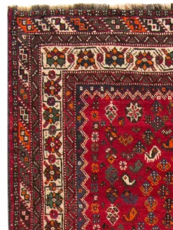 Shiraz|Kibek Clearance