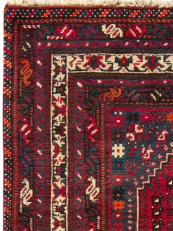 Shiraz|Kibek Clearance