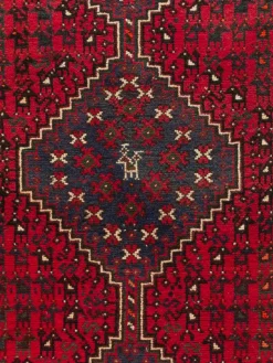 Shiraz|Kibek Clearance