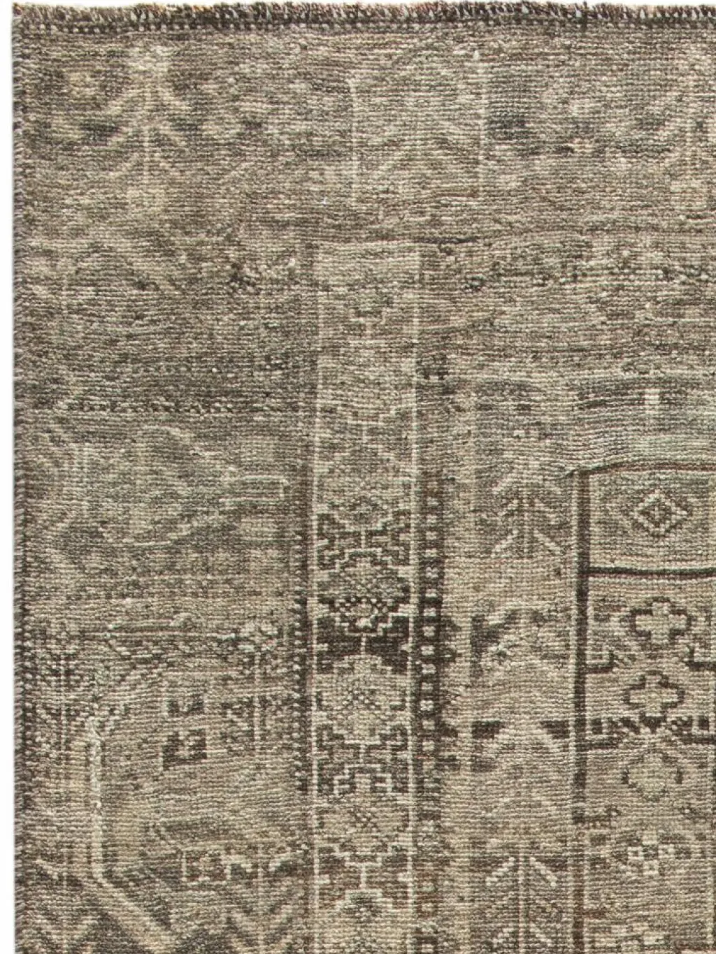 Shiraz Vintage|Kibek Clearance