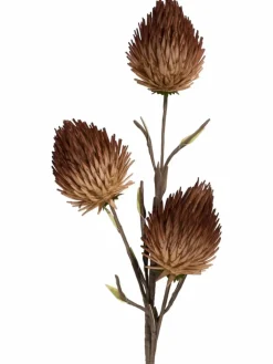 Softflower|Kibek Sale