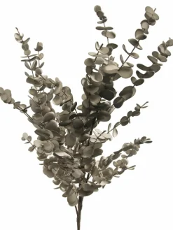 Softflower|Kibek Discount