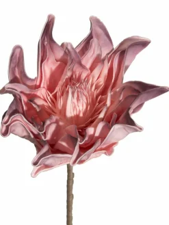 Softflower|Kibek Online