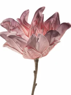 Softflower|Kibek Online