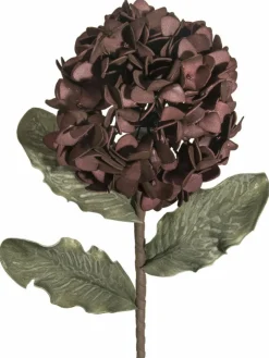 Softflower|Kibek Best