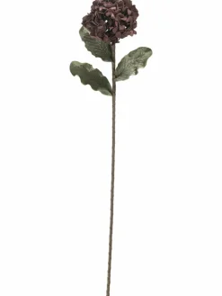 Softflower|Kibek Best