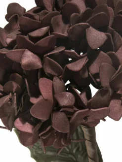 Softflower|Kibek Best