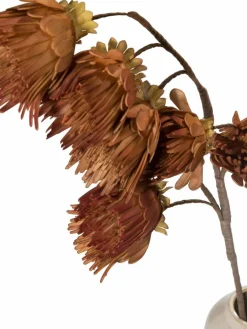 Softflower|Kibek New