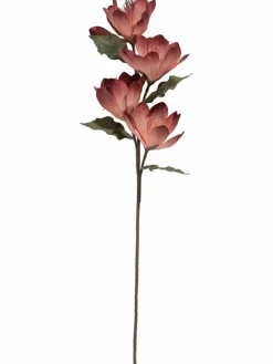 Softflower|Kibek Discount