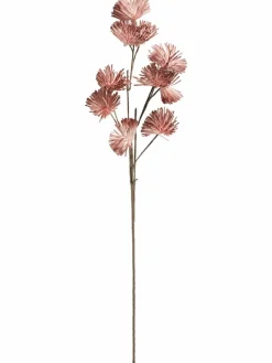 Softflower|Kibek Sale