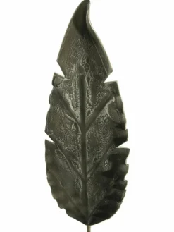 Softflower|Kibek Best