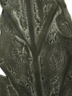 Softflower|Kibek Best