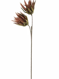 Softflower|Kibek Hot