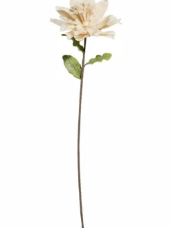 Softflower|Kibek Sale