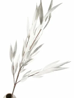 Softleaves|Kibek Outlet