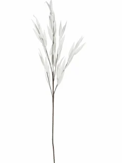 Softleaves|Kibek Outlet