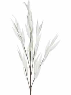 Softleaves|Kibek Outlet