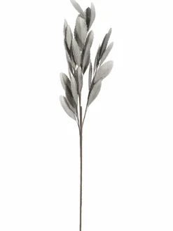 Softleaves|Kibek Outlet