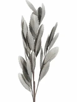 Softleaves|Kibek Outlet