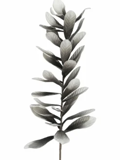 Softleaves|Kibek Discount