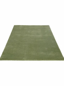 Sovereign|Kibek Clearance