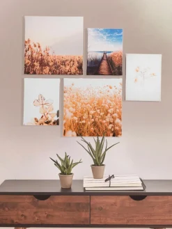 Strandplätze|Kibek Sale