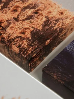 Strandplätze|Kibek Sale