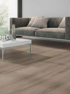 Strong 55|Kibek Online