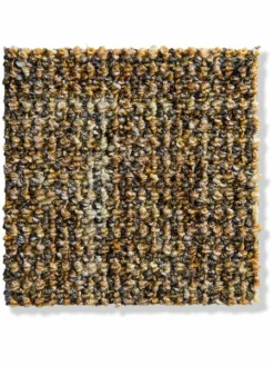 Strukture|Kibek Clearance