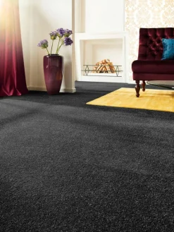 Symphonie|Kibek Online