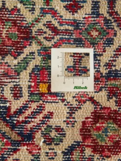 Tadjabad Hamadan|Kibek Outlet