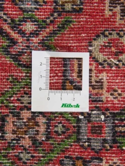 Tadjabad Hamadan|Kibek Hot