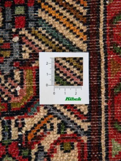 Tadjabad Hamadan|Kibek Sale