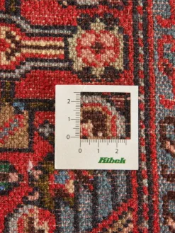 Tadjabad Hamadan|Kibek Online