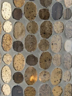 Tahitan|Kibek Clearance