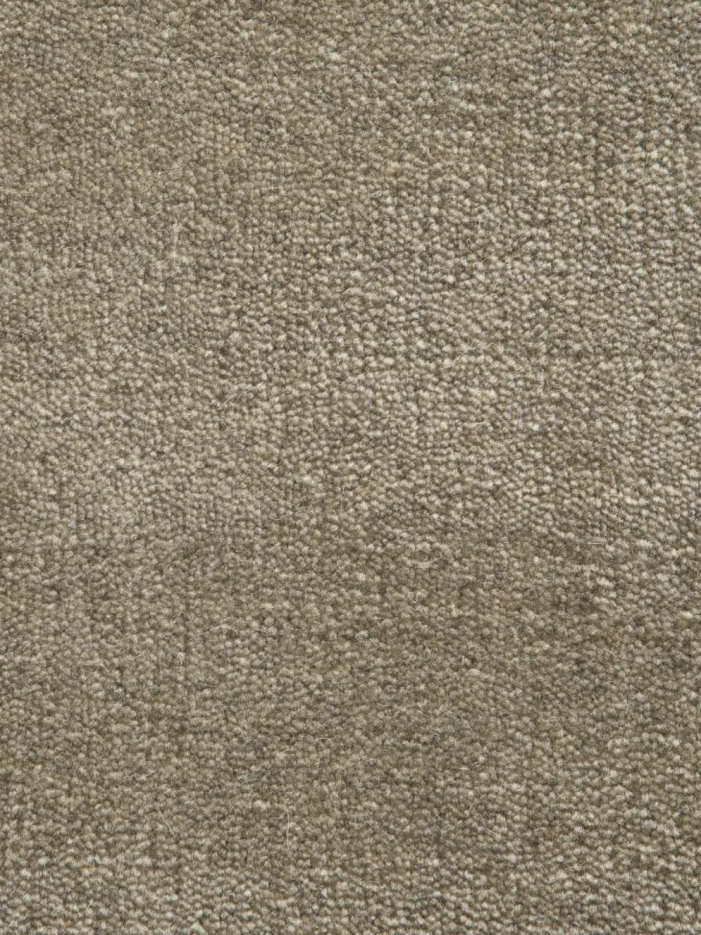 Tamesna|Kibek Clearance