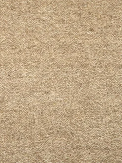 Tamesna|Kibek Online