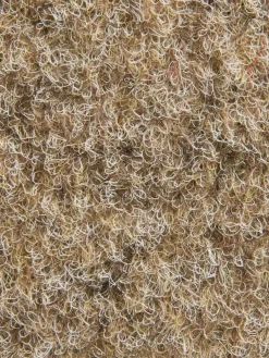 Tango|Kibek Discount