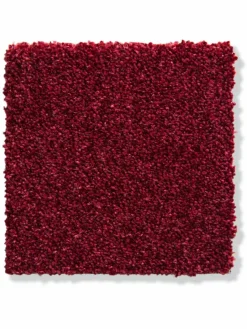 Taomania|Kibek Discount