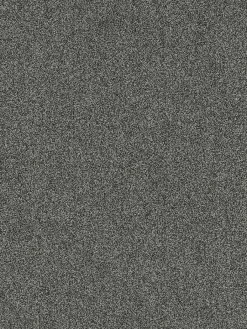 Taomania|Kibek Online