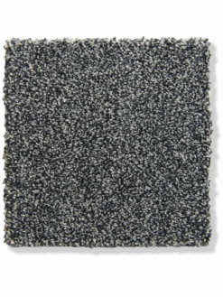 Taomania|Kibek Online