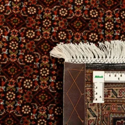 Täbriz 50 Raj|Kibek New