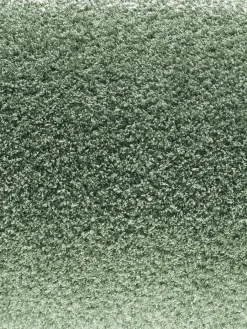 Tenderness|Kibek Best