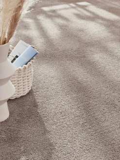 Tortosa|Kibek Clearance