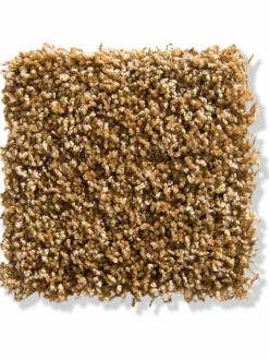 Trepito|Kibek Outlet