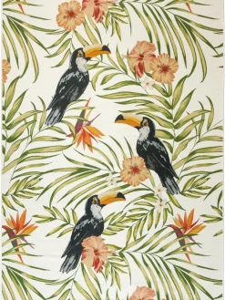 Tropical|Kibek Online