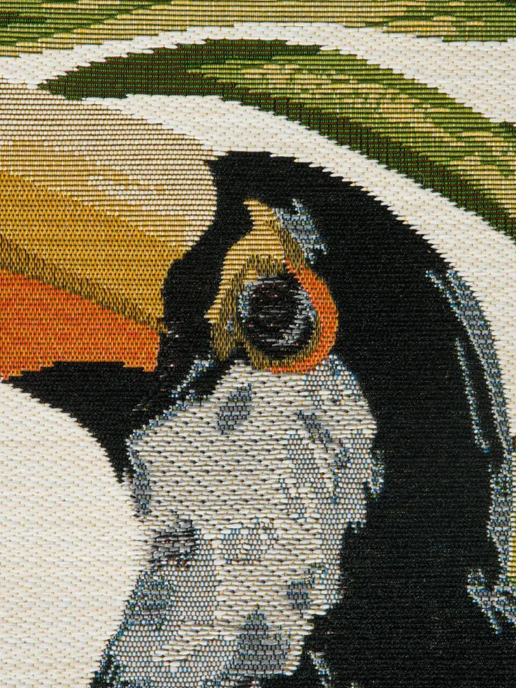 Tropical|Kibek Online