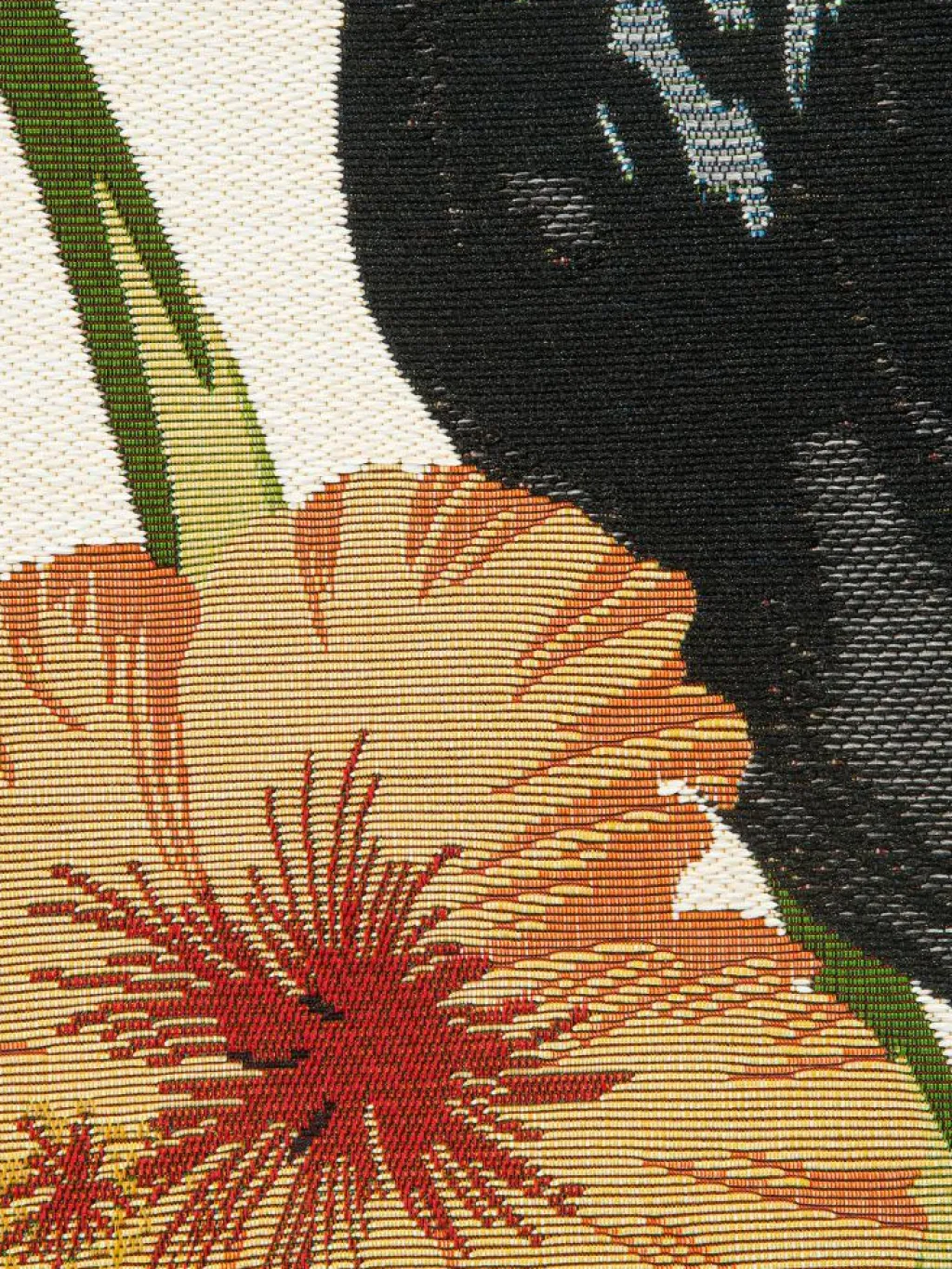 Tropical|Kibek Online