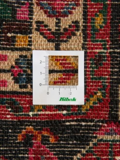 Tuiserkan Hamadan|Kibek Clearance