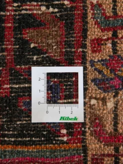 Tuiserkan Hamadan|Kibek New